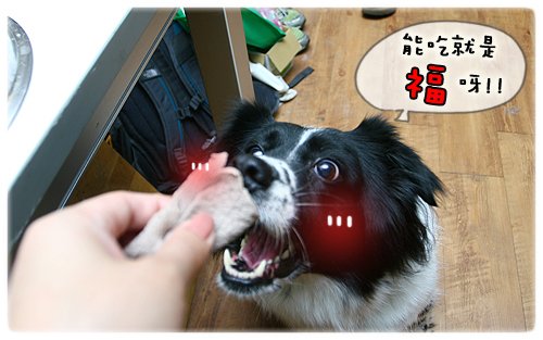13.JPG