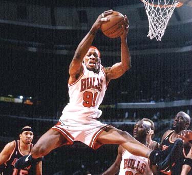 rodman-rebound.jpg