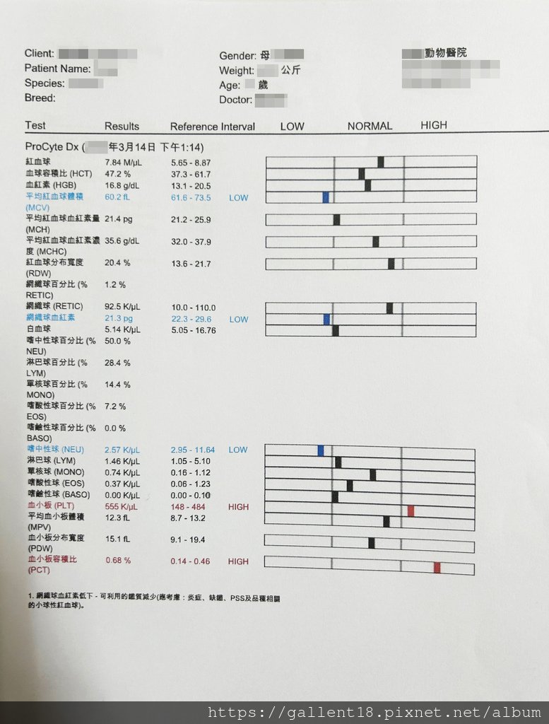 犬腎衰竭