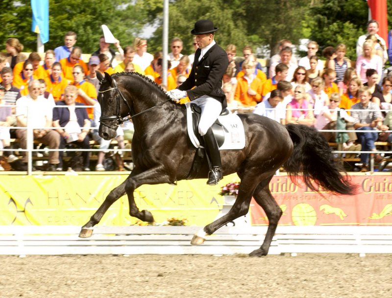 Royal_Highness_WM_2005_Verden_002.jpg