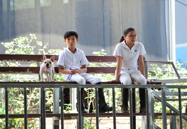 2SY1_3408.jpg