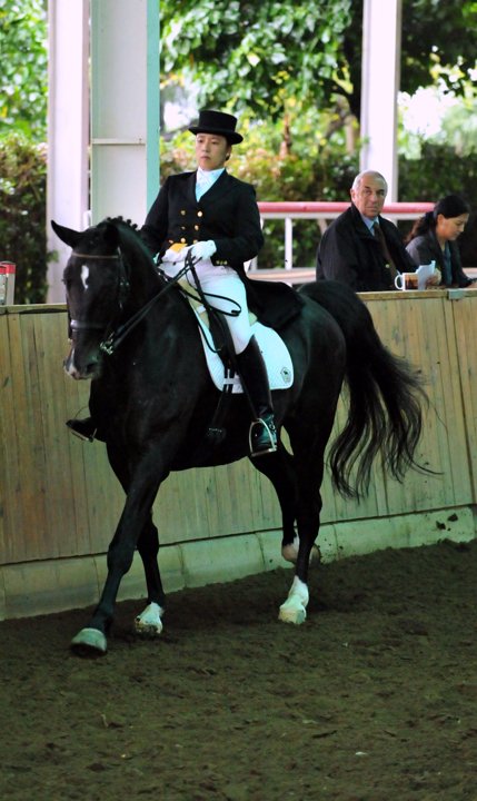 2SY2_1202.jpg