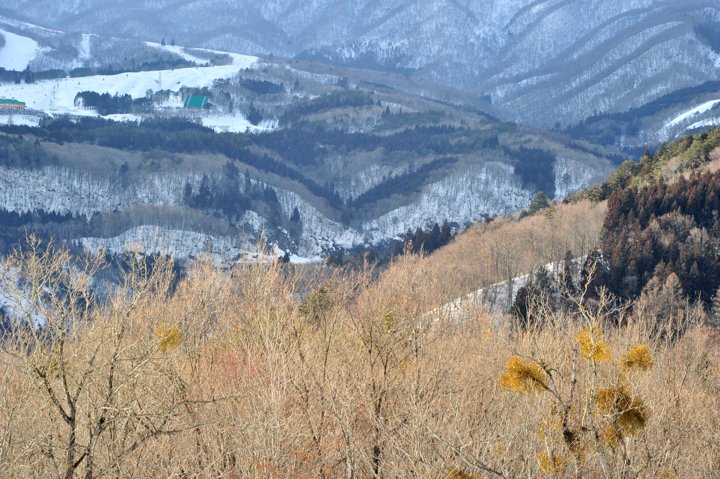 SY0_1368.JPG