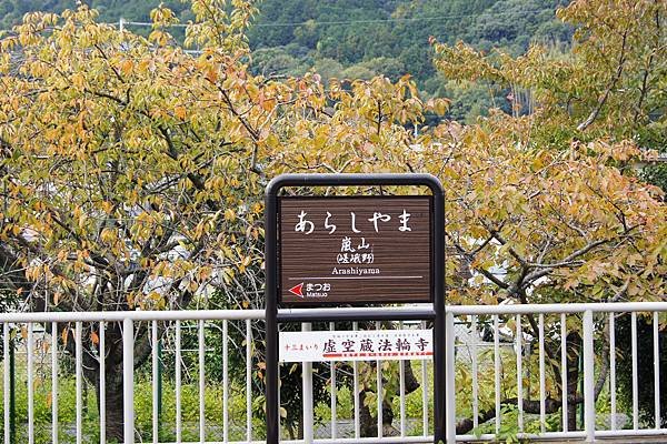 _DSC6412_副本