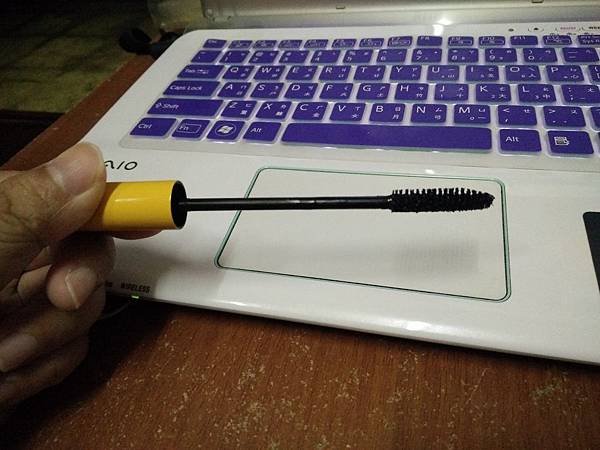 IMG20160707220933.jpg