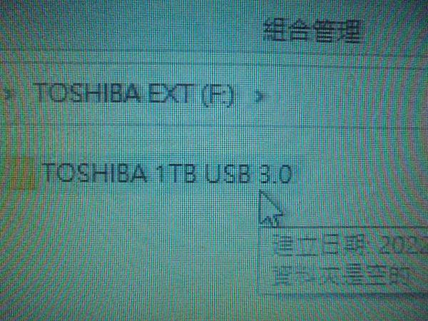 【救出檔案】TOSHIBA東芝CANVIO黑靚潮1TB～A3