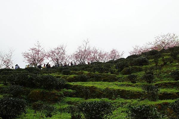 DSC00087
