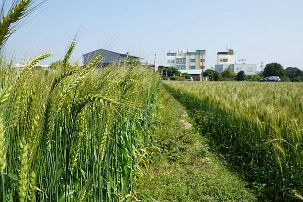 DSC00421
