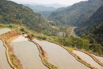 山區水梯田與河溪形成一個水域生態廊道，也與森林共構生態系的鑲嵌體。s.jpg