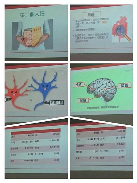 (3)10.17腦袋不可思議3