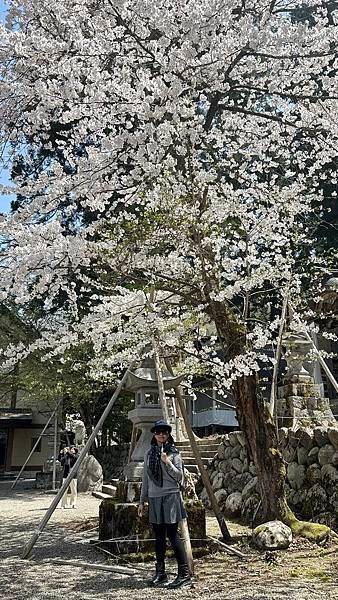 合掌村-日本 白川鄉...2024 0419(五)