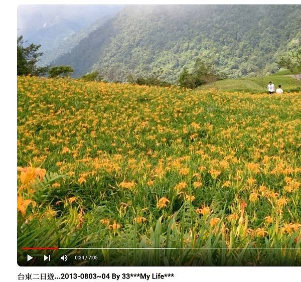 太麻里金針山休閒農業區-台東縣 太麻里鄉...2013 08