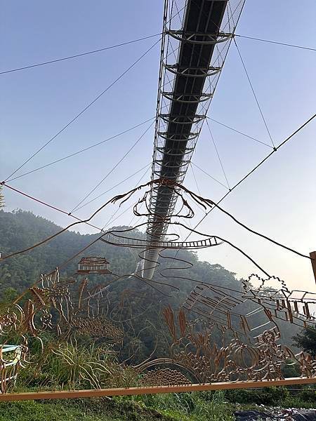 萬鷺朝鳳侯鳥遷徒-嘉義梅山鄉 太興村 季節限定...2024