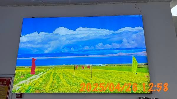 青海湖-青海省 青康藏高原...2025 0426(六)