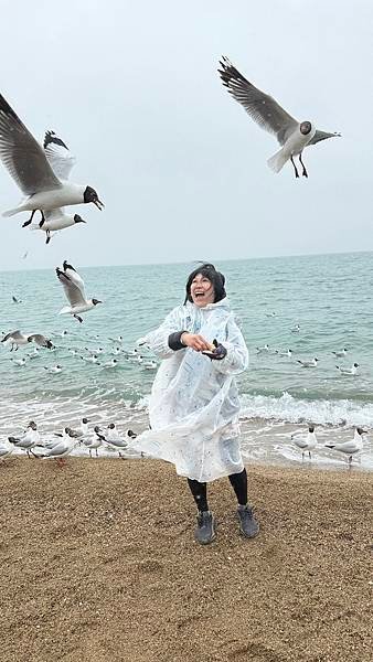 青海湖-青海省 青康藏高原...2025 0426(六)