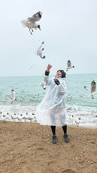 青海湖-青海省 青康藏高原...2025 0426(六)