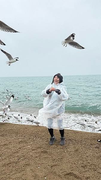 青海湖-青海省 青康藏高原...2025 0426(六)