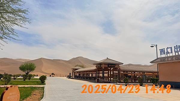 鳴沙山月牙泉騎駱駝-甘肅省 敦煌...2025 0423(三