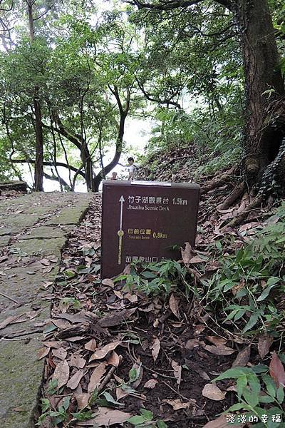DSCN5572