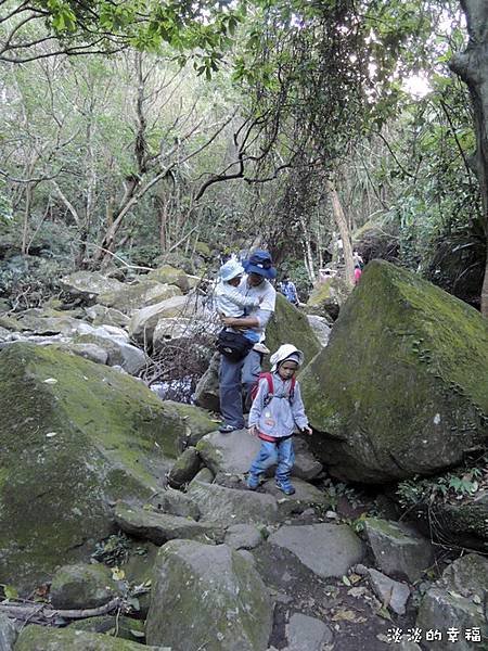DSCN1013.jpg