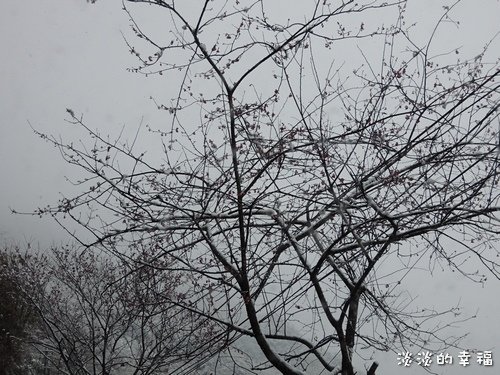 DSCN0160.jpg