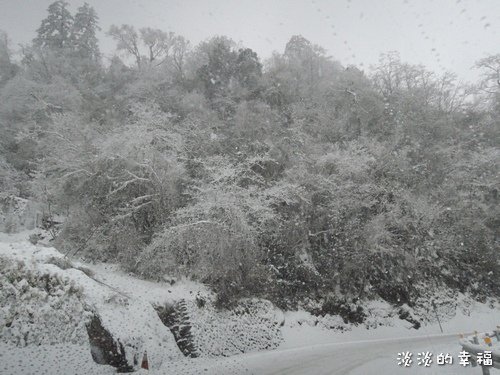 DSCN0293.jpg