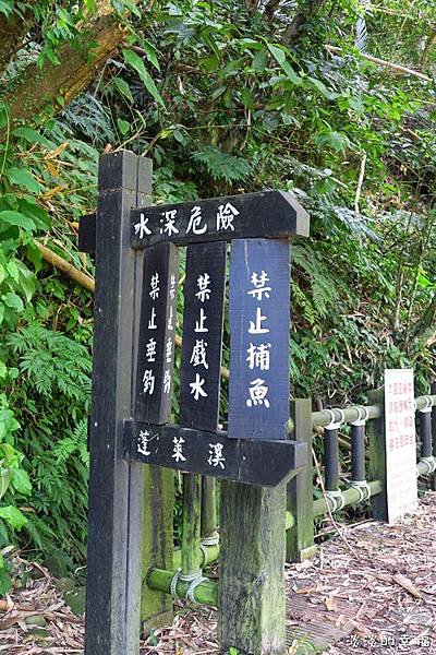 IMG_6576.jpg