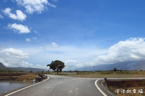 IMG_6873.jpg