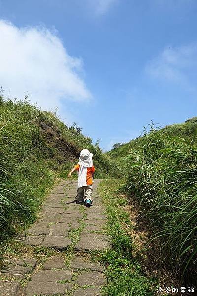 IMG_8258.jpg