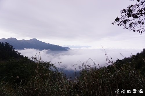 DSC04235.jpg