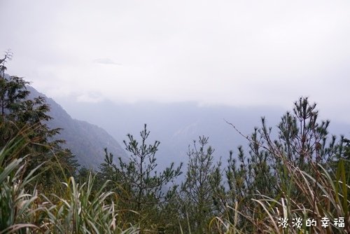 DSC04296.jpg