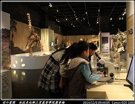 2014_1206_094905P08.jpg