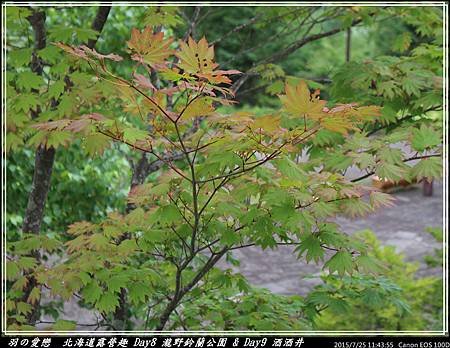 2015_0725_114355P03.jpg