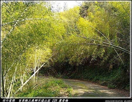 20160228_102725P05.jpg