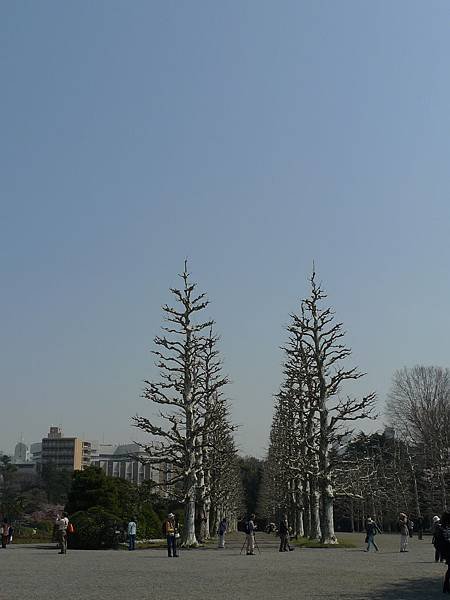 L1490527.JPG