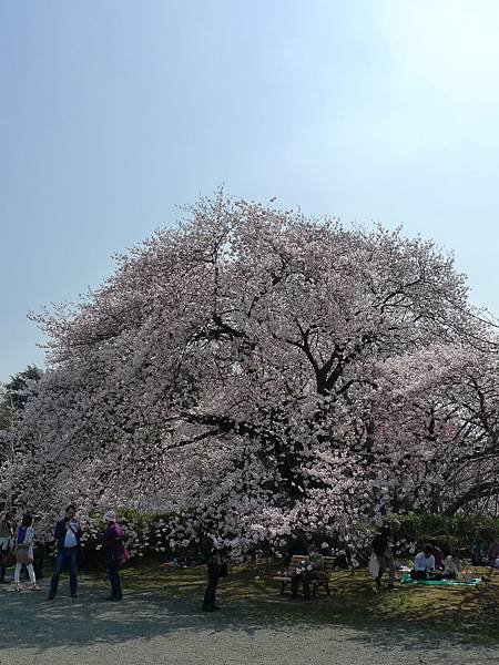 L1490529.JPG