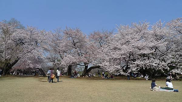 L1490539.JPG