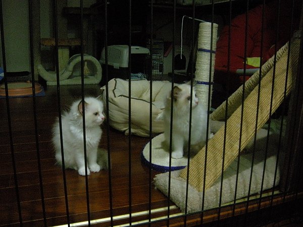 DSCN2987.JPG