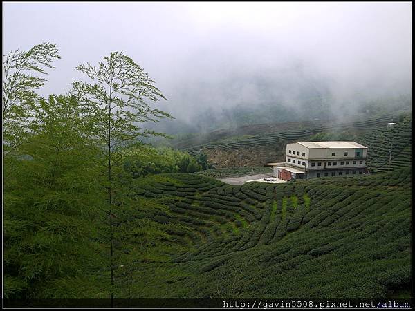 P1150361-5.jpg
