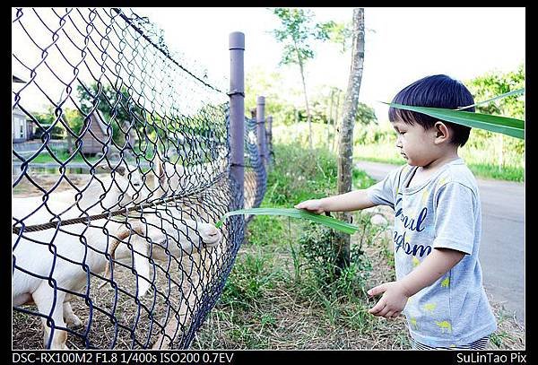 nEO_IMG_DSC03680