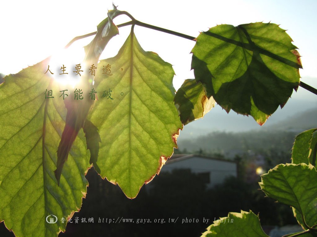 人生要看透，但不能看破。