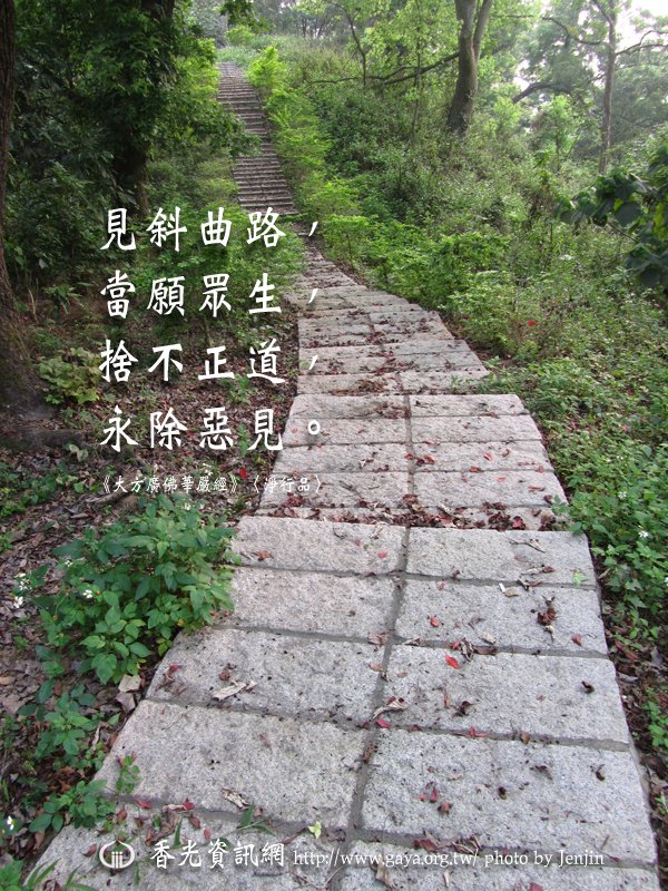 見斜曲路，當願眾生，捨不正道，永除惡見。