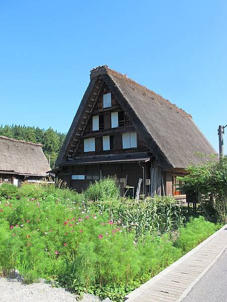 IMG_2930.JPG