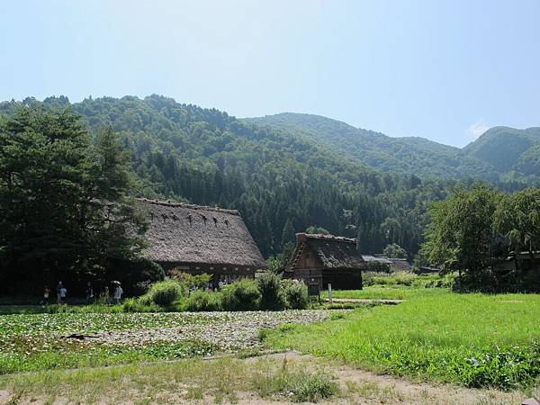 IMG_2951.JPG
