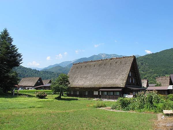 IMG_2966.JPG