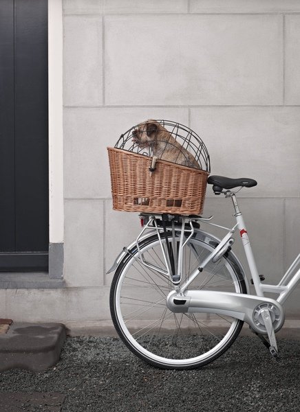 Basil Pasja on bicycle with dog1.jpg