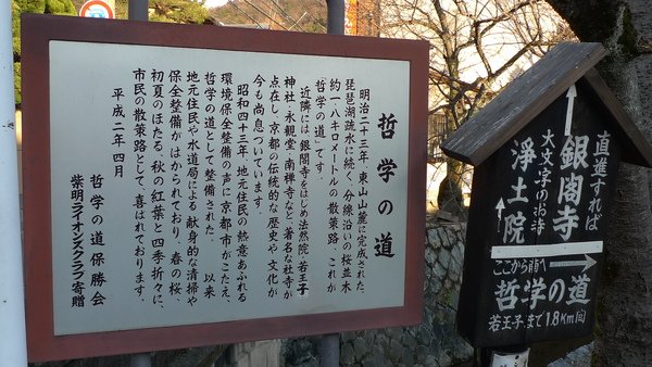 照片 425.jpg