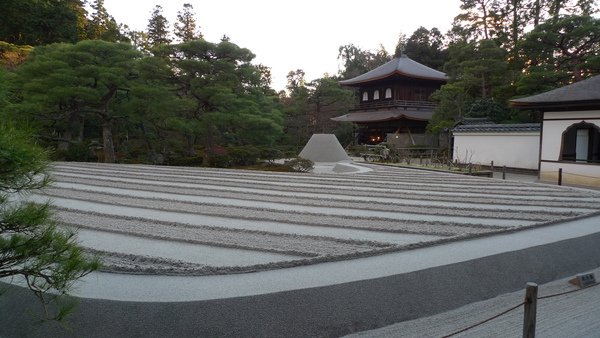 照片 466.jpg