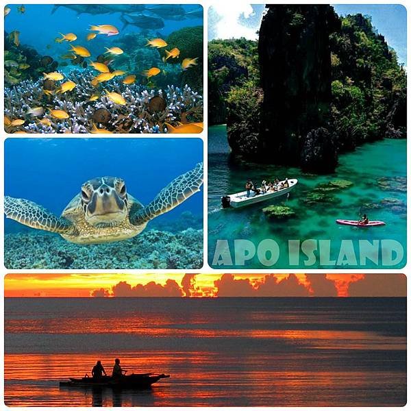 apo island.jpg