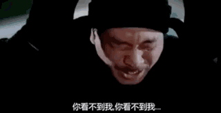 看不到我.gif